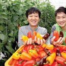 라온농장 이미지
