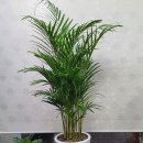 신평주유소 이미지