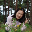 바우길 12구간 이미지