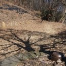 시온 민박 이미지