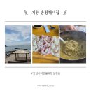 송정회식당 | 회 전복죽 맛있었지만 불쾌했던 이유 부산 송정해녀집 기장 솔직후기