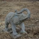 봉성초등학교 이미지