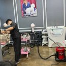 매직 펫 살롱 이미지