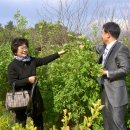 호경농장 이미지