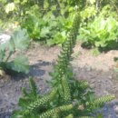 정동농업협동조합 이미지