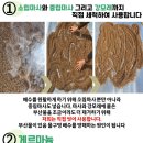 진토베기 이미지