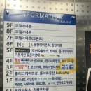 유정프라자 앞 이미지