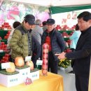 탄금공원 이미지