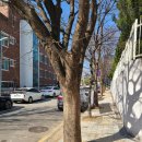 광명등기소 이미지