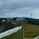 에어타임 | [경주 가볼만한곳] 드라켄부터 스콜앤하티까지 경주월드 놀이기구