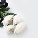 이해공간 이미지