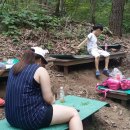 대전자양초등학교 이미지