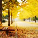 그 해 가을 이미지