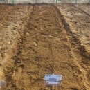 양호농장 | 강동구 도시텃밭 가래여울 주말농장 주차 상추모종 심기 체험 후기