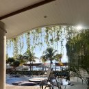 더비치하우스 이미지