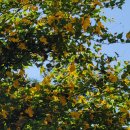 현대사우나 이미지