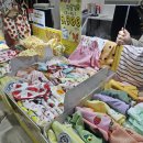 에코펫케어 | 2026년 케이펫페어 세텍 3/20-22 후기🐶