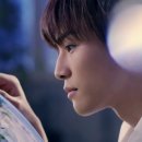 식물도감 이미지