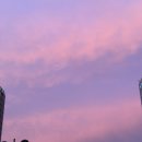 실버스토리 | 실버크로스 절충형 유모차 듄2 구매후기 / 내돈내산 / 베이비스토리 성남 분당점 / 카라멜 브라운 색상