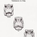 렉스디테일 이미지