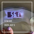 산야초영농조합 | [다경다감다이어트] 산야초발효액 산야초효소 3일 단기다이어트 절식 후기 (-3kg감량 및 유지 성공)