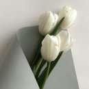 쇼위플라워디자인직업전문학교