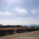 미아니아 이미지