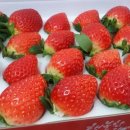 행복한 딸기농장 이미지