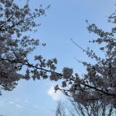 영남대동문점 작심 스터디카페 이미지