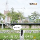 88성화교 네이버블로그