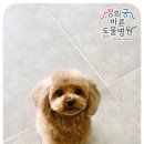 경희궁 바른 동물병원 이미지