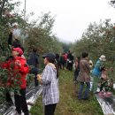 보람농장 이미지