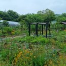 화순농장 네이버블로그