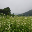 다래골농장 이미지