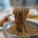 콧등치기 이미지