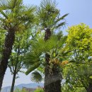 연향 3지구 이미지