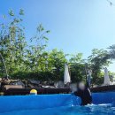 샤크빌리지7 이미지