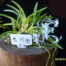 천지천 - 고양시 일산동구 위시티2로11번길 22-14 | 천지천