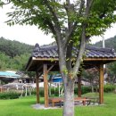 빈정공원 이미지