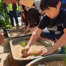 자연그리 이미지