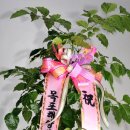 삼향동초등학교 이미지