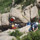 그루터기 이미지