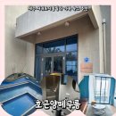 제주에코빌라 | 제주 서귀포 신상 풀빌라 가족숙소 추천 : 호근양떼구름