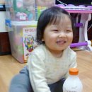 서희목장 이미지