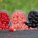 더 리얼핏 이미지