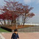 유건식품 Daum카페