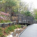 계남공원(배드민턴장) 이미지