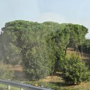 D01020 | [서유럽 여행 45] 이탈리아 휴게소 간식 및 화장실 Q8 / CHEF EXPRESS