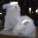 우리땅한우실비식당 이미지