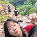 데구르르 이미지